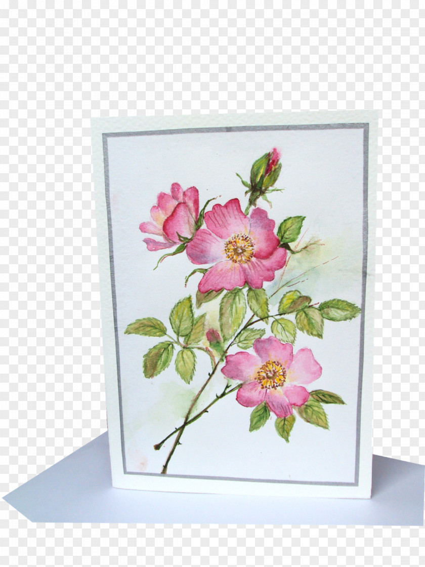 Botanical Flowers Cut Floral Design Watercolor Painting PNG