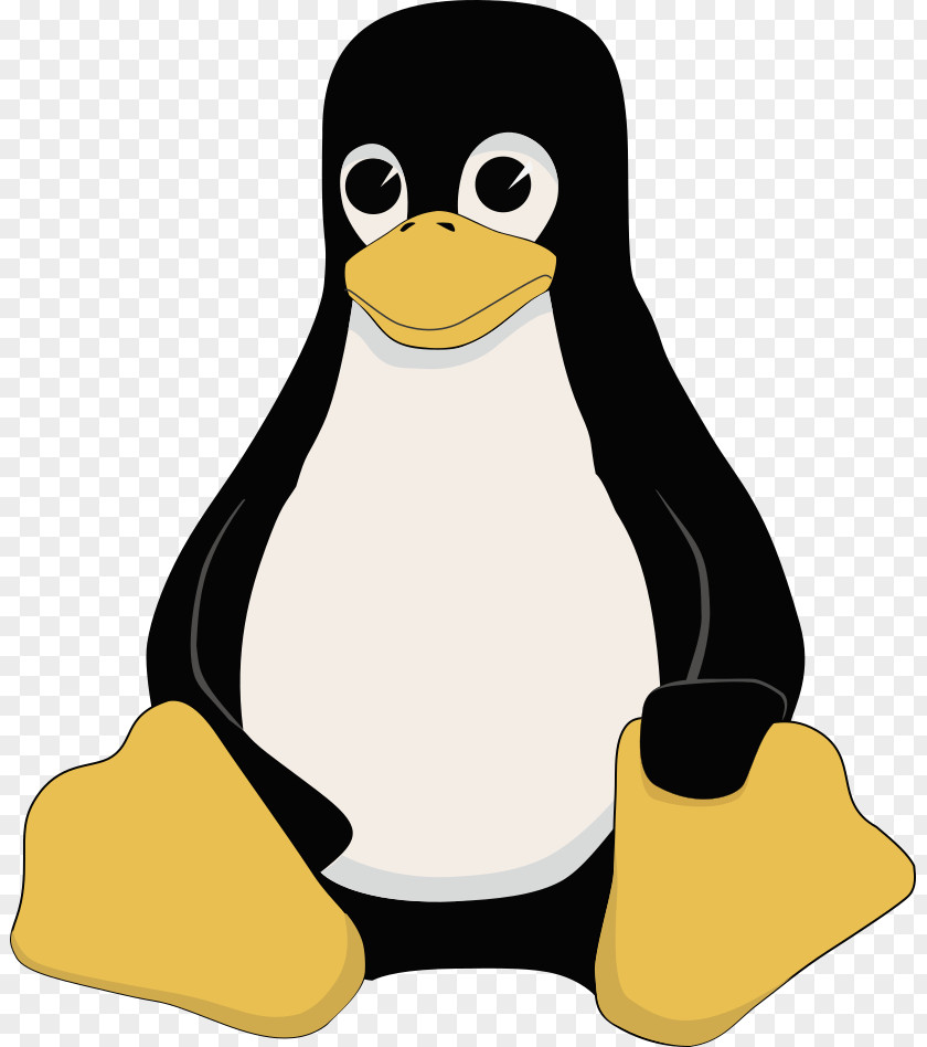 Cartoon Emperor Penguin PNG