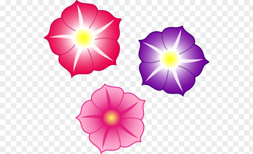 Flower Petunia Pink Flowers Clip Art PNG