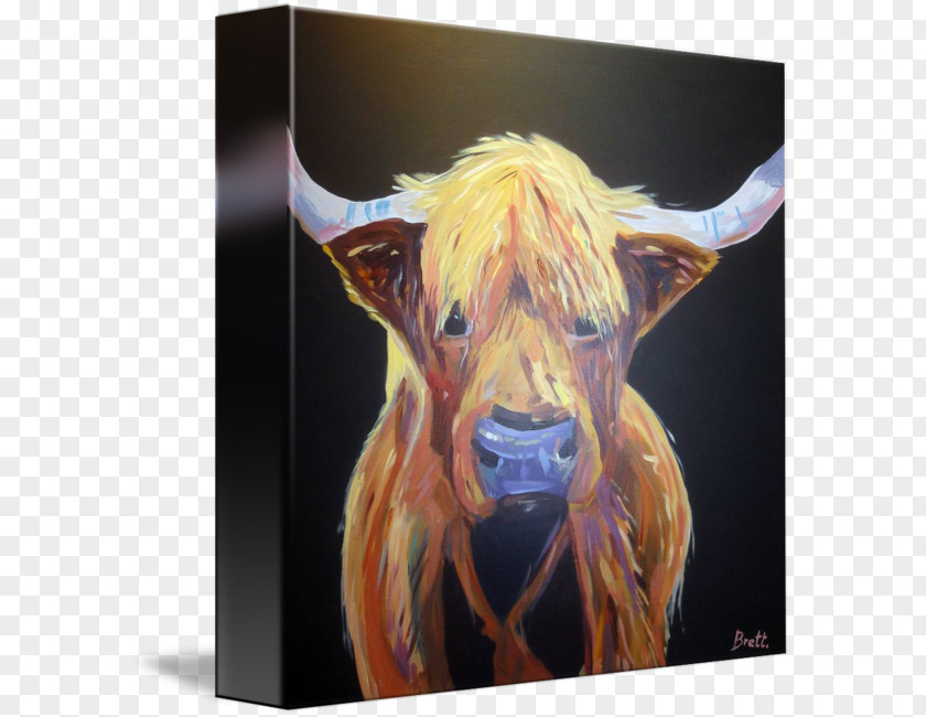 Highland Cow Cattle Painting Snout Jeffrey Horn PNG