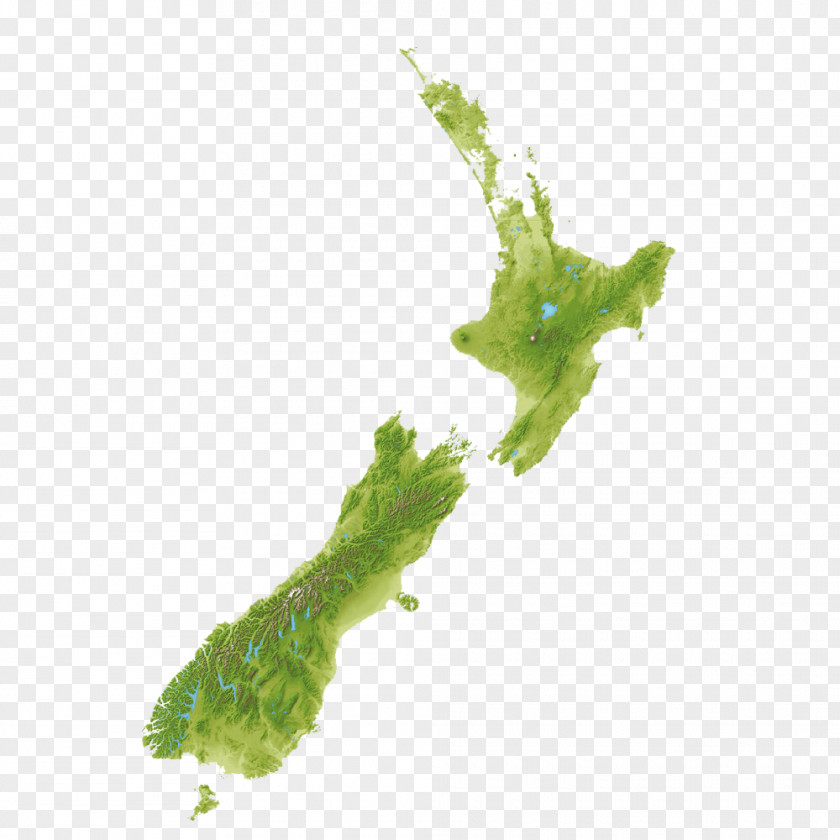 New Zealand Satellite Map Auckland Kaikoura Orokonui Ecosanctuary Wellington Lake Rotopiko PNG