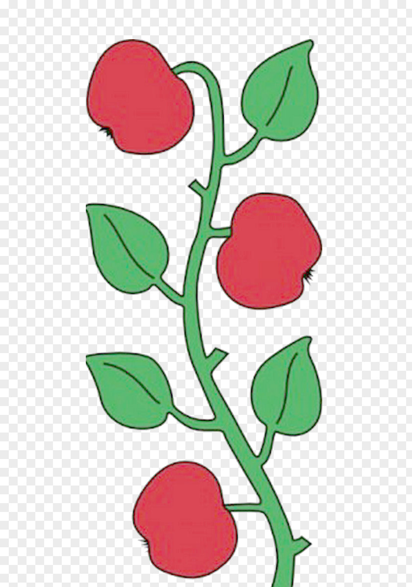 Painted Apple Tree Branch Clip Art PNG