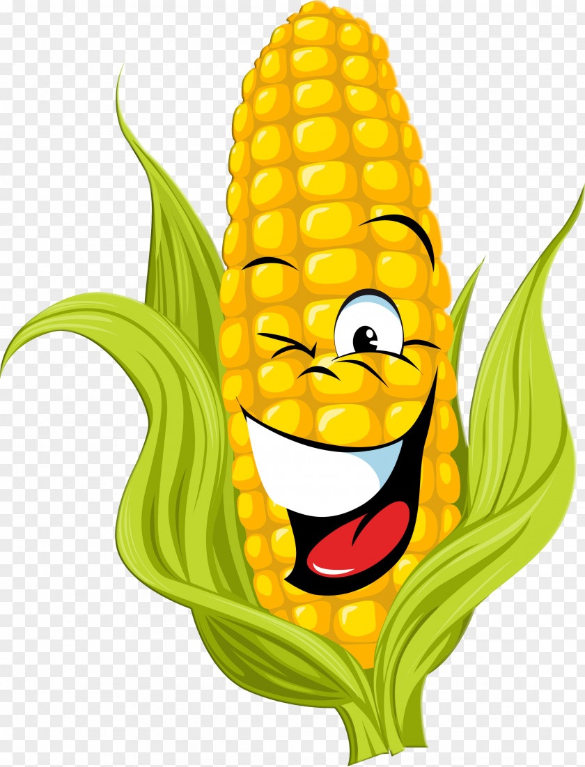 Sweet Corn Cartoon PNG