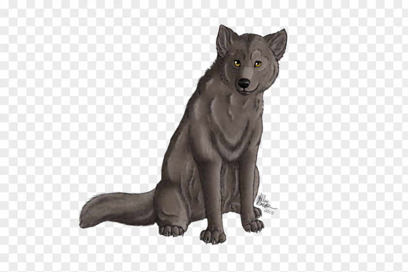 Wolf Spirit Fur Wildlife PNG