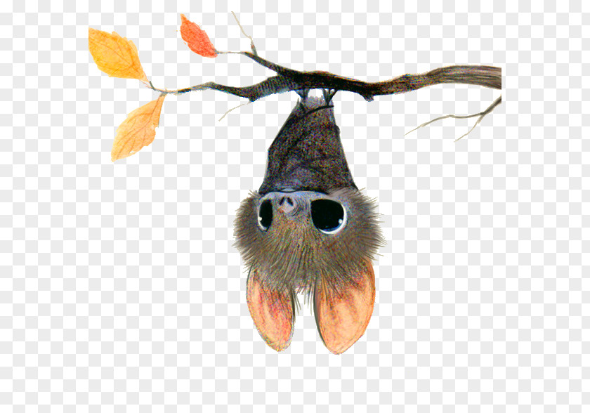 Bat Drawing Cuteness Cartoon Illustration PNG