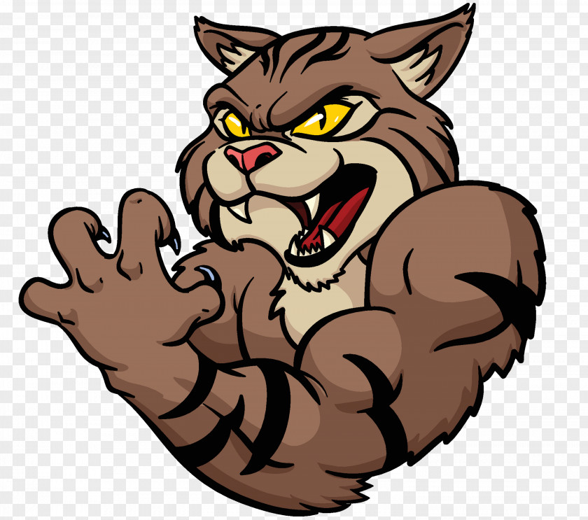 Cat Wildcat Clip Art PNG