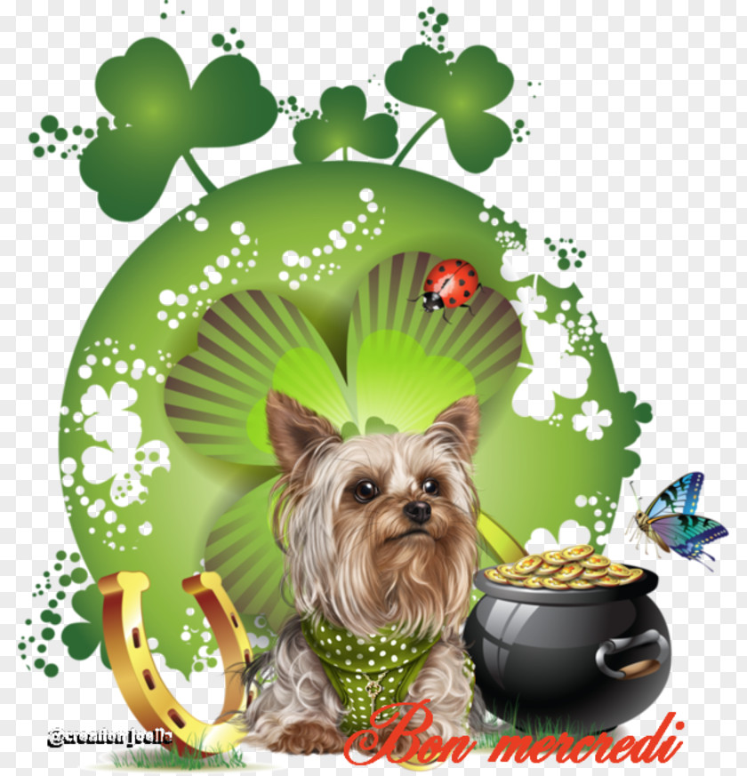 Clover Four-leaf Clip Art PNG