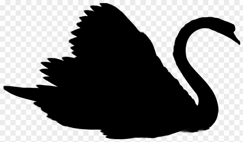 Duck Swans Goose Clip Art Silhouette PNG