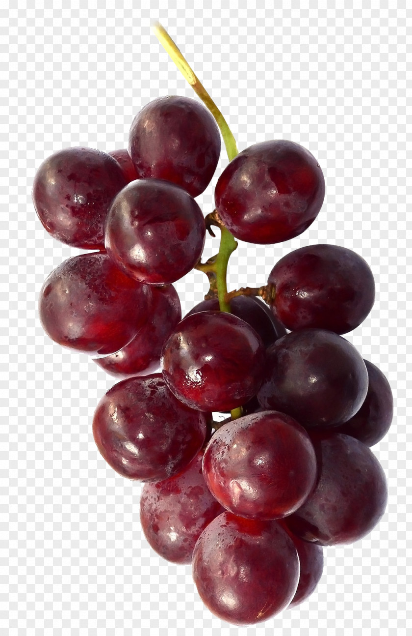 Grape Zante Currant Sultana Wine Seedless Fruit PNG