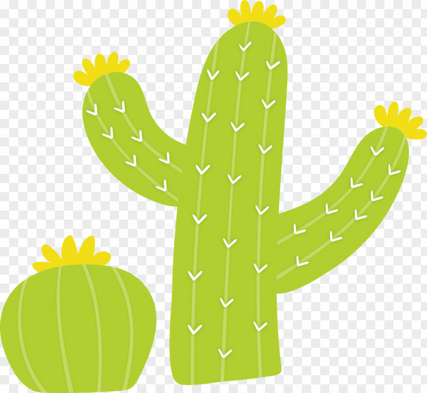 Mexico Elements PNG