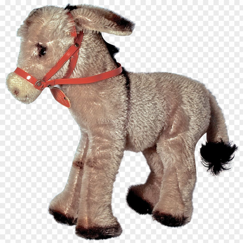 Mustang Pony Mane Freikörperkultur Snout PNG