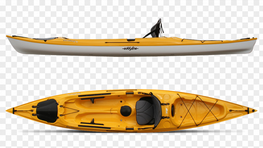 Paddle Caribbean Kayak Fishing PNG