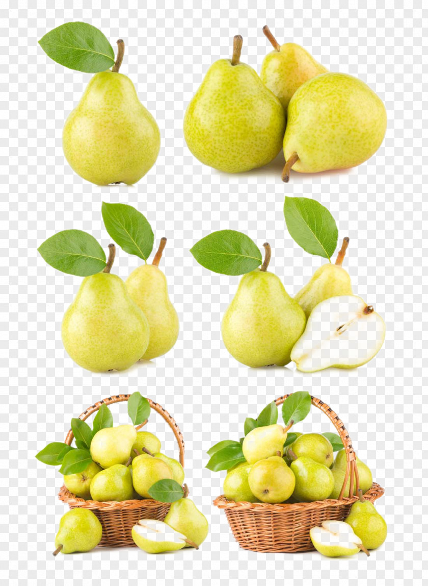 Pear Pyrus Nivalis Lime Apple Lemon PNG