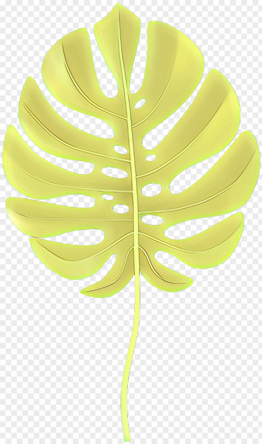 Plant Stem Flower Coconut Tree Drawing PNG