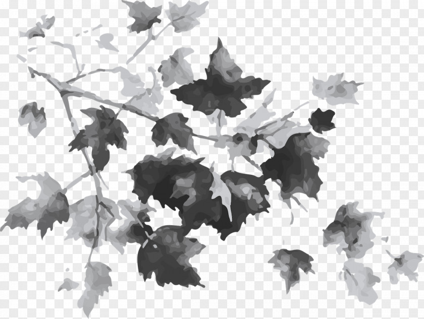 Autumn Leaves Maple Leaf Tree Drawing PNG