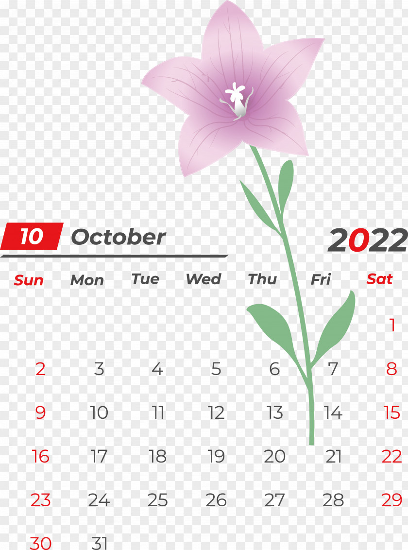 Flower Calendar Petal Font Meter PNG