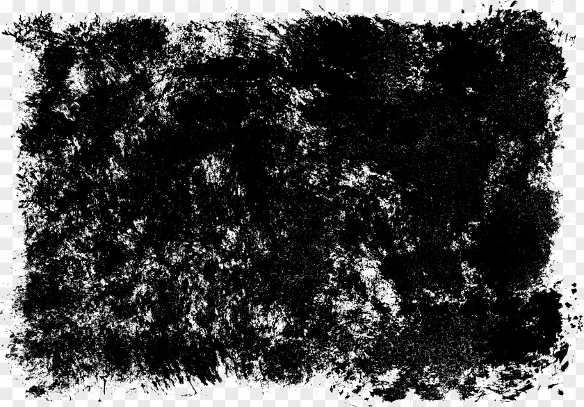 Grunge Photography Black And White Texture PNG