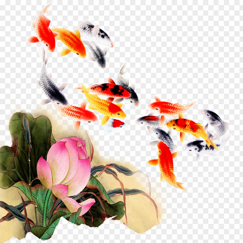 Kam Fish Lotus Koi Computer File PNG