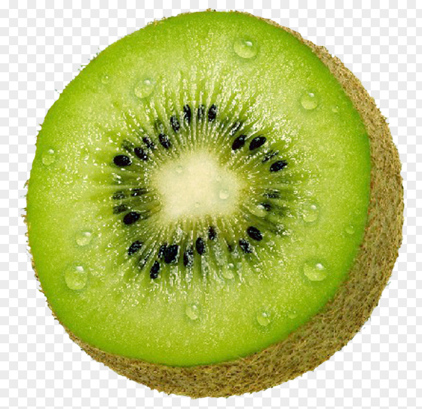 Kiwifruit Fruitcake Hardy Kiwi Drawing PNG