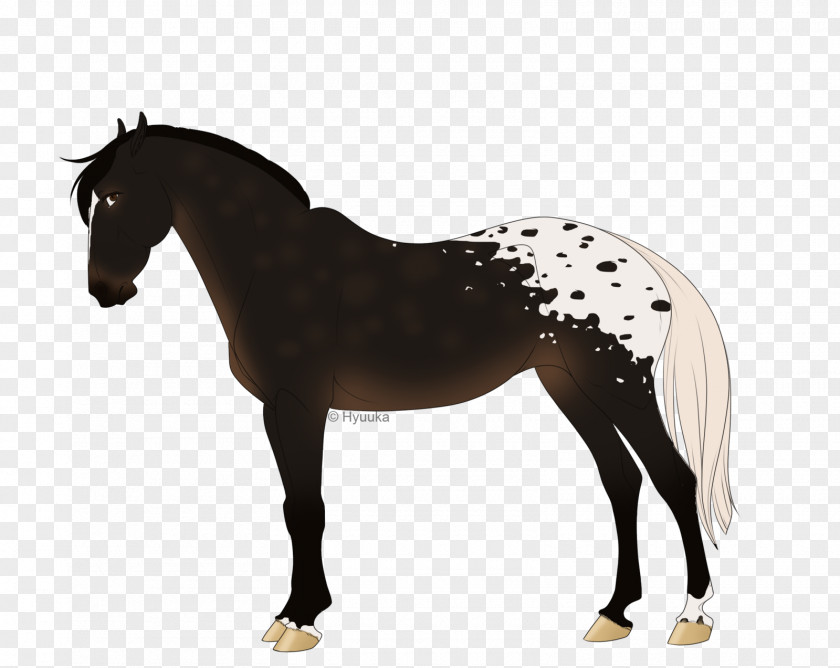 Mustang Mane Stallion Pony Mare PNG