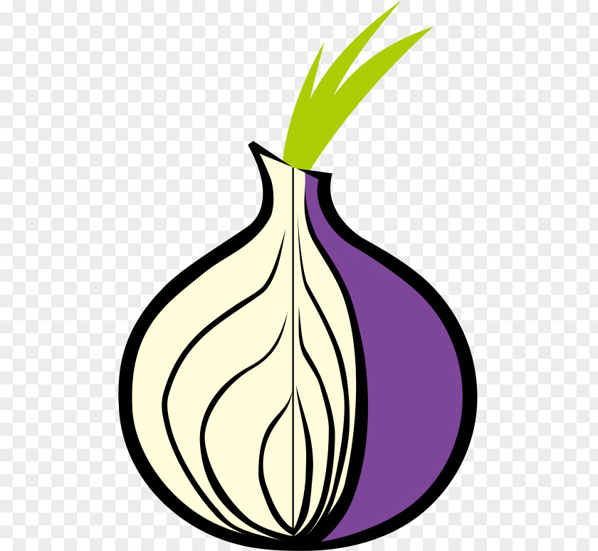 Onion Tor Browser .onion Routing Web PNG