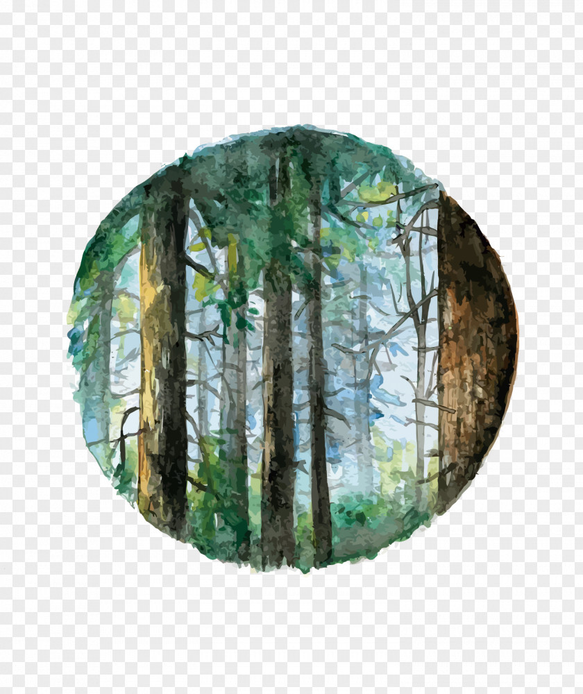 Vector Watercolor Forest Painting PNG