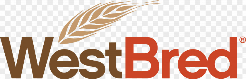 Wheat Havre Westfield Agriculture Seed PNG