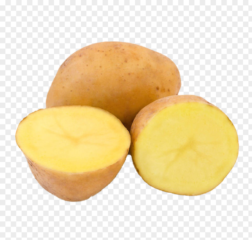 Cross Section Potato Russet Burbank Yukon Gold Sweet Vegetable PNG