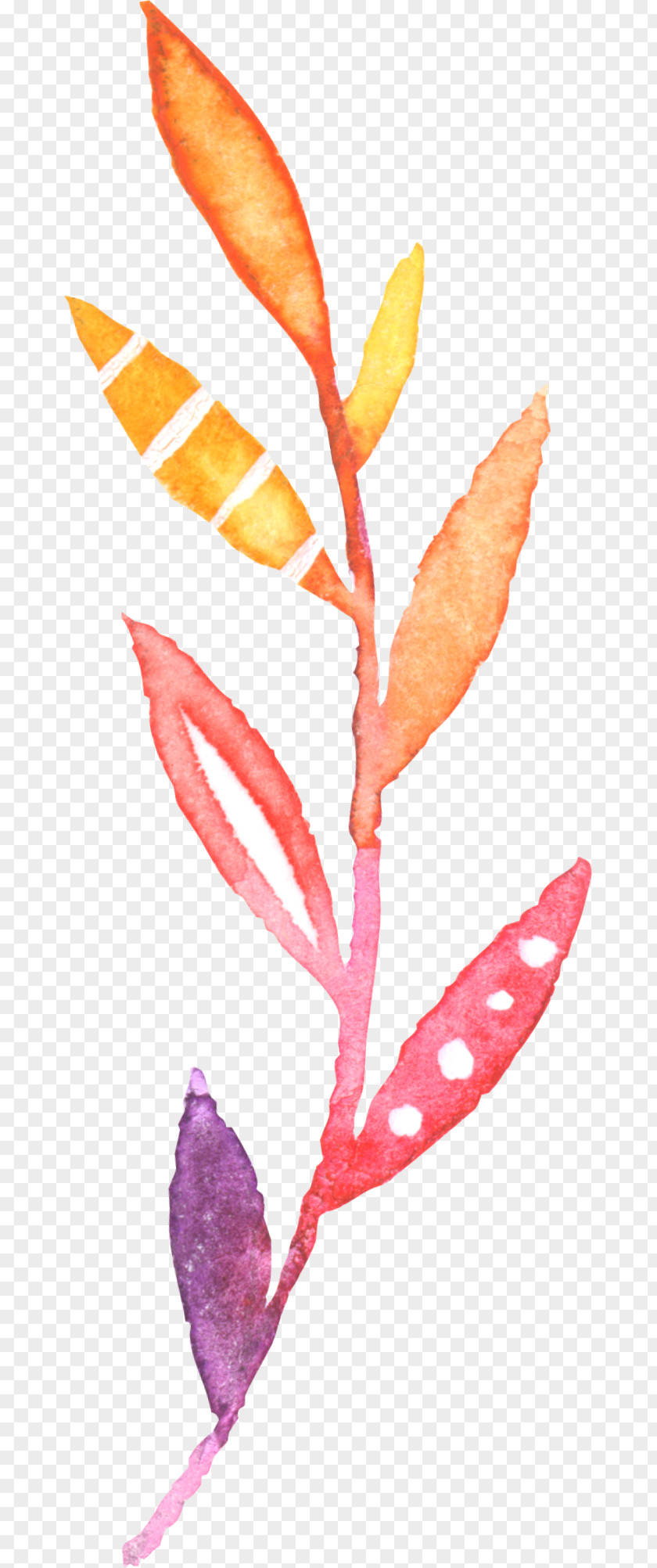Hand-painted Watercolor Plant Watercolor: Flowers Painting PNG