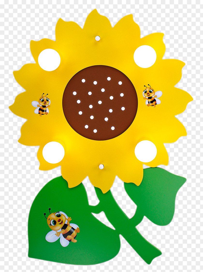 Light Common Sunflower Ceiling Yellow Nursery PNG