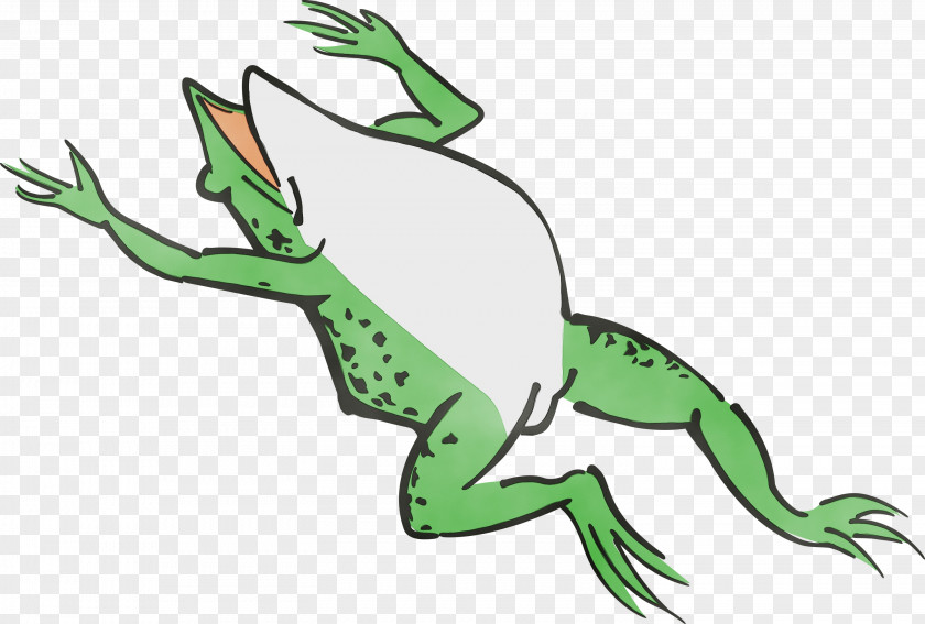 Line Art Toad Frogs Tree Frog Tail PNG
