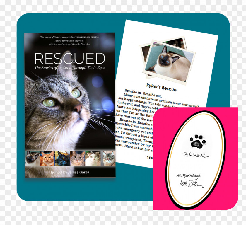 Magic Book Rescued: The Stories Of 12 Cats, Through Their Eyes Whiskers Tonkinese Cat Mouse Kitten PNG