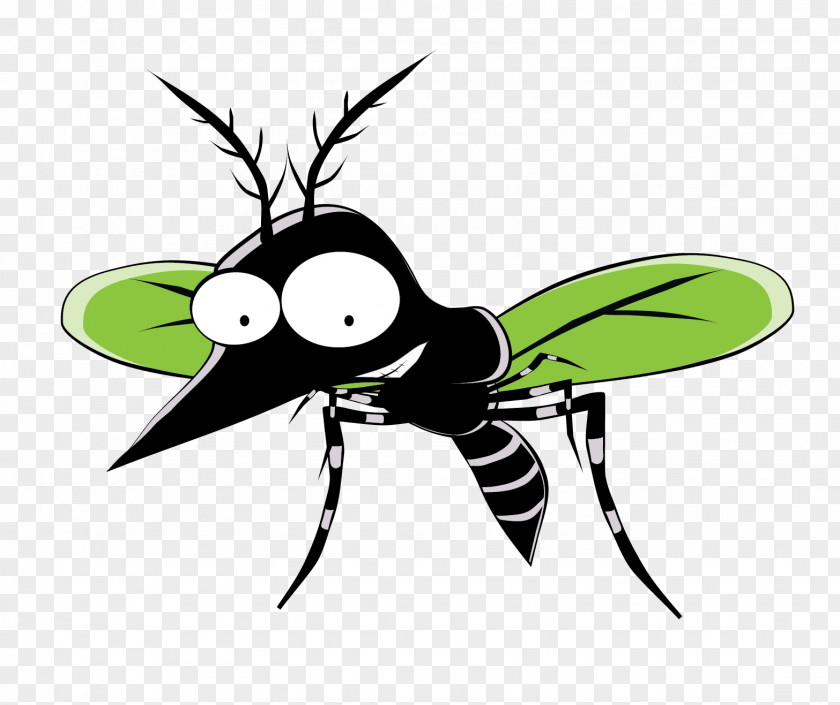 Mosquito Insect Ant Cartoon PNG