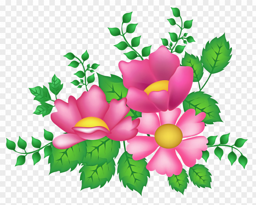 Rose Prickly PNG