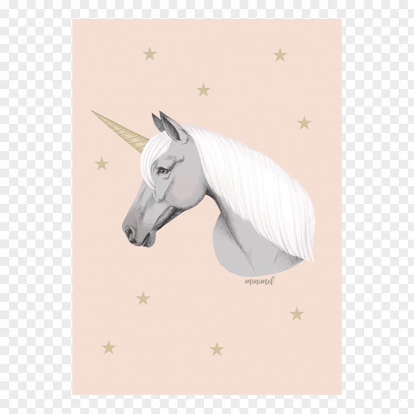 Unicorn Standard Paper Size A4 Horse PNG