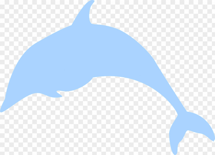 Dolphin Common Bottlenose Tucuxi Animal Porpoise PNG