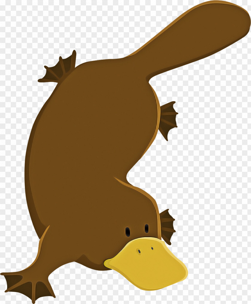 Monotreme Beaver Cartoon Platypus Clip Art PNG