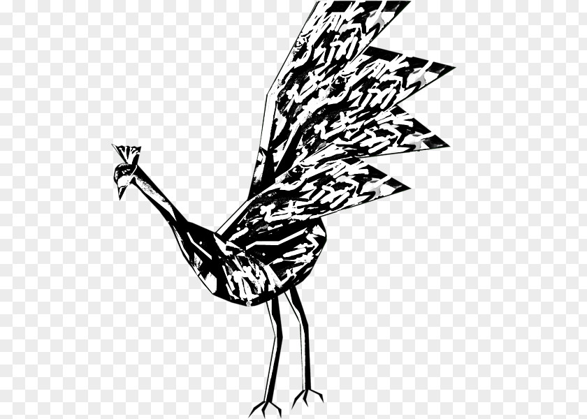 Peacock Baby Rooster Visual Arts Chicken Feather Clip Art PNG