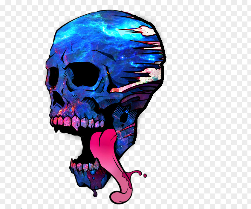 Skull Jaw Organism Clip Art PNG