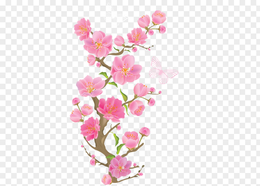 Spring Cut Flowers Cherry Blossom PNG