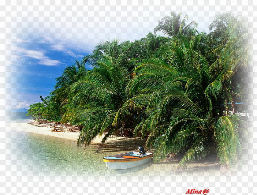 Travel Bocas Town, Del Toro Solarte Island Cayos Zapatilla Panamá Province Caribbean PNG