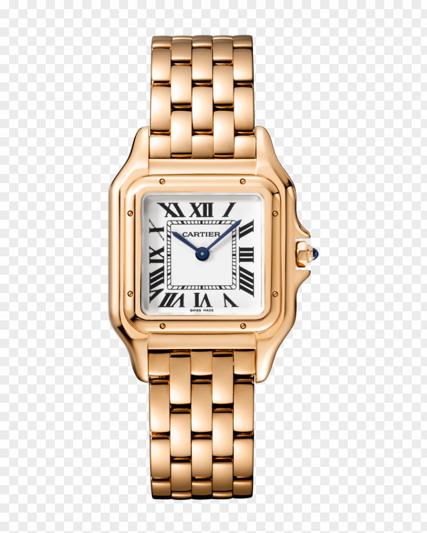 Watch Cartier Tank Automatic Patek Philippe & Co. PNG