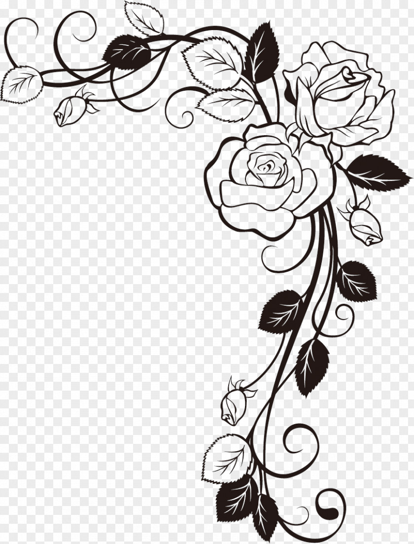 Camellia Flowers Drawing Sketch Clip Art Illustration Design PNG