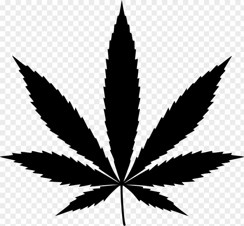 Cannabis Medical Sativa Clip Art PNG