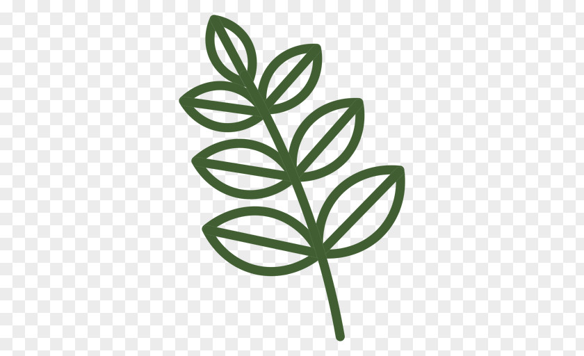 Ram Navmi Leaf Plant Stem Branch PNG