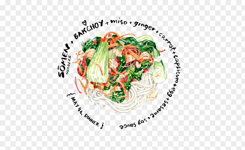 Watercolor Vegetable Side Chow Mein Fried Noodles Chinese Pasta Su014dmen PNG