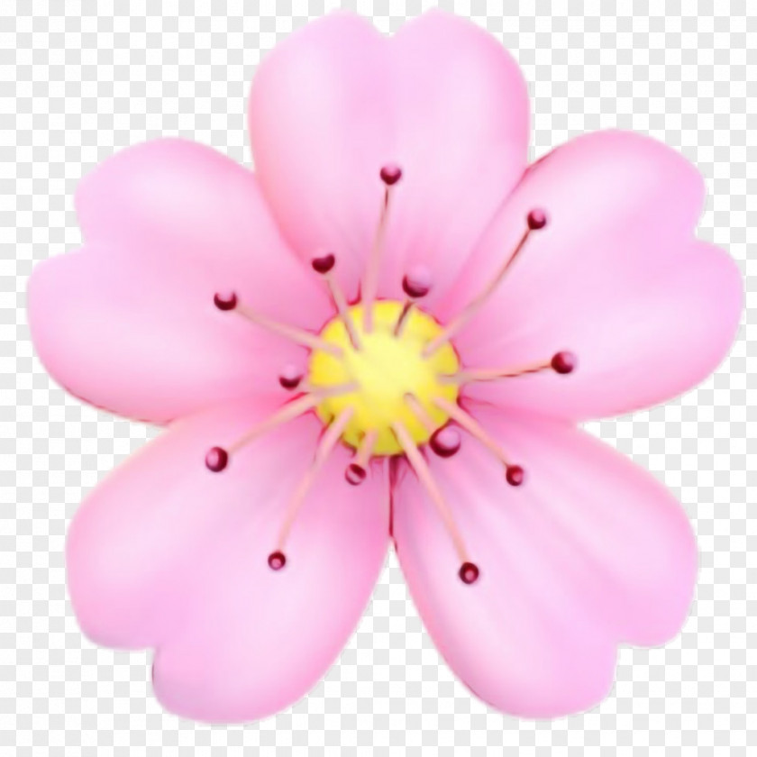 Wildflower Plant Cherry Blossom Cartoon PNG
