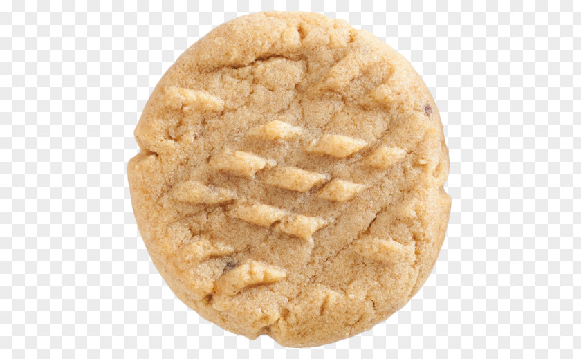 Biscuit Peanut Butter Cookie Snickerdoodle Biscuits PNG