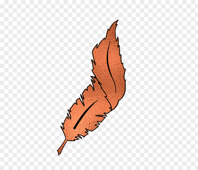 Business Copper Feather Leaf Service Goal PNG