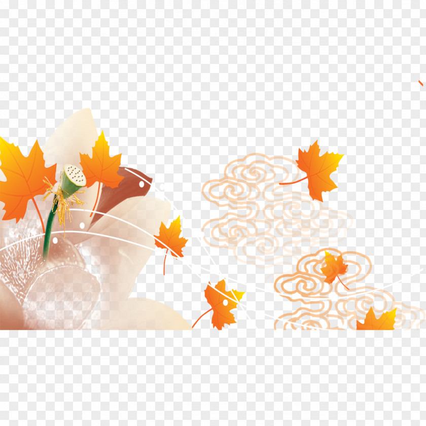 Maple Autumn Decoration Petal Text Illustration PNG